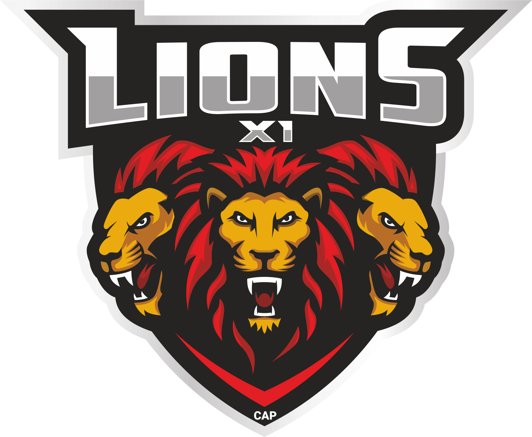 Lions XI