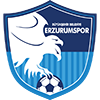 Buyuksehir